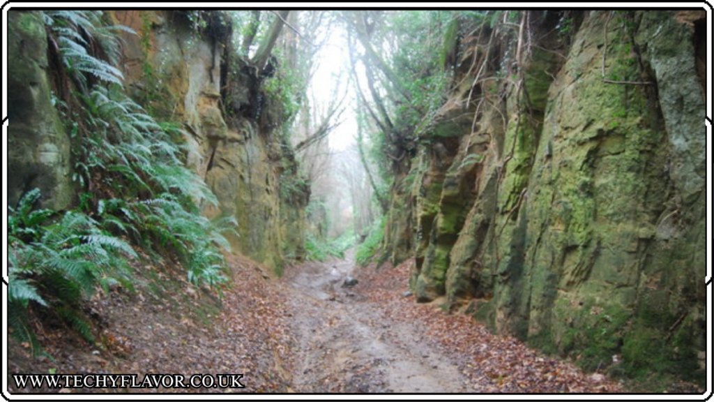 Shutes Lane Dorset